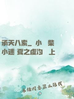 承天八索